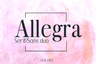 Allegra Duo: A Bold Sans Serif Font for Makers