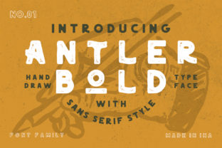 Antler Bold: A Designer’s Practical Review