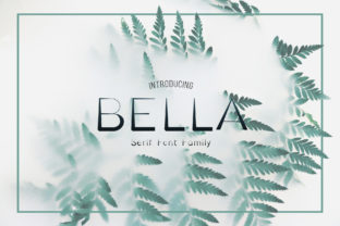 Bella Family: A Bold Serif Font for Campaigns