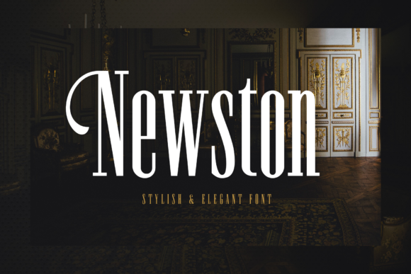 Newston Serif Font for Modern Web Design