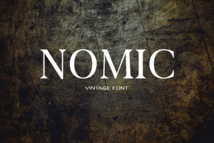 Nomic Font: Bold Serif for Modern Branding
