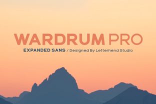 Wardrum Pro: The Typeface That Elevates Brand Identity